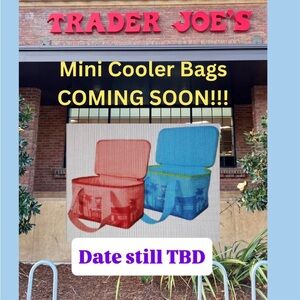 Red and Blue Mini Cooler Bags